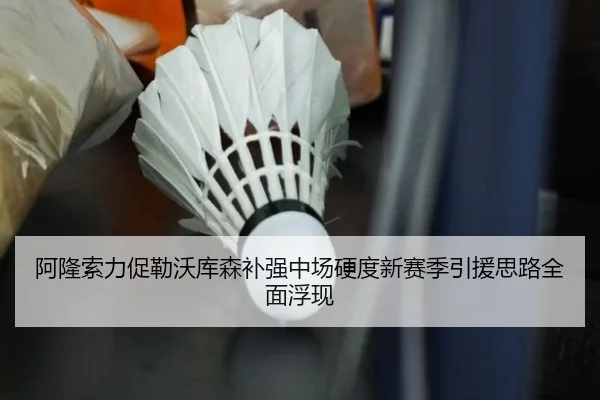 阿隆索力促勒沃库森补强中场硬度新赛季引援思路全面浮现
